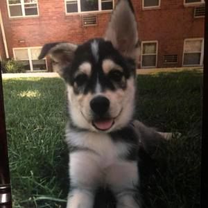 Meet your Posher, Joanne